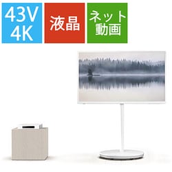 失礼致しましたパナソニック 43V型 4K VIERA L レイアウトフリーテレビ