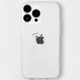 16823839i14P [iPhone 14 Pro用 ソフトクリアケース mint MOLKANG]