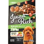 SJR-013 [じゅわリッチ 国産地鶏・和牛入り 750g]