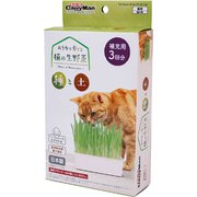 おうちで育てる 猫の生野菜 種と土