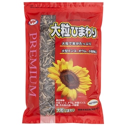 プレミアム 大粒ひまわり 550g