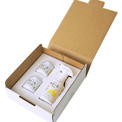 きえ～る クルマ用 ギフトボックス小 Dシリーズ 消臭剤 日本製 無香 天然 オーガニック 無香料 無添加 D-KGC-25