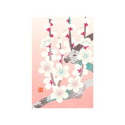 88664006 [[限定]ポストカード664 白梅柄]