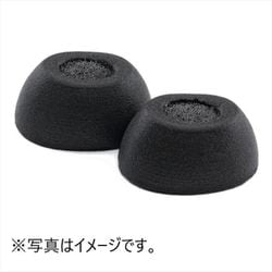 イヤーチップ 楕円形 Lサイズ TRUEGRIP PRO TWO220C BLK L/1P