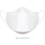 Victorian Mask3層構造 ミント 5枚入り sw-mask-234-mw
