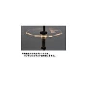 OCTAGON FLAT PLATE for 2WAY STAND CLEAR [アウトドア ランタン用アクセサリ]