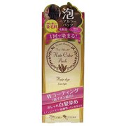 ヘアーシルエット 泡ヘアカラートリートメント ナチュラルブラウン 80ml