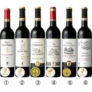 ボルドー・シュペリュール 金賞受賞ワイン 6本セット フランス/ボルドー