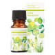 ブレンド精油 ライミーバカンス 10ml 08-443-8460