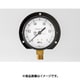 高島 プラスチック圧力計（B枠立型・φ60）圧力レンジ0.0～0.1MPa G1/4 1213010