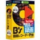 B's 動画レコーダー Pro [Windowsソフト]