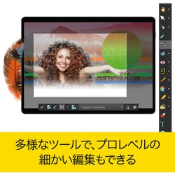 ヨドバシ.com - コーレル COREL PaintShop Pro 2023 [Windowsソフト 