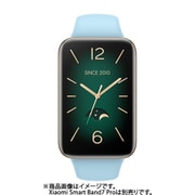 BHR6292GL [Xiaomi Smart Band 7 Pro（スマートバンド 7 プロ）用 Strap ブルー]
