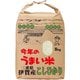 今年のうまい米 5kg 令和6年産