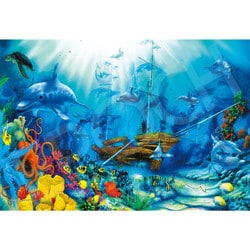 光るパズル MARINE ART デビット・ミラー オーシャン トレジャーズ [ジグソーパズル 1053ピース]