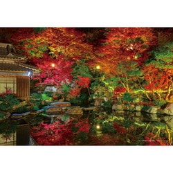日本風景 秋夜の百済寺庭園 （滋賀） [ジグソーパズル 108ピース]