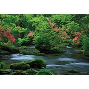 日本風景 涼感を呼ぶ奥入瀬渓流 （青森） [ジグソーパズル 108ピース]