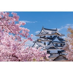 日本風景 国宝彦根城と桜木 （滋賀） [ジグソーパズル 108ピース]