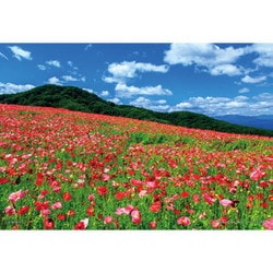 日本風景 天空のポピー 秩父高原牧場 （埼玉） [ジグソーパズル 108ピース]