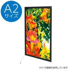62160A2B [イージーライトパネル ver2 A2 ブラック]