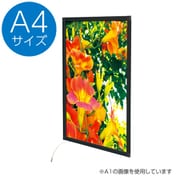 62160A4B [イージーライトパネル ver2 A4 ブラック]