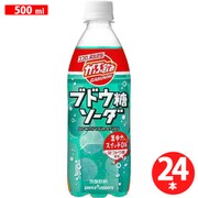 がぶ飲み ブドウ糖ソーダ 500mlPET×24本