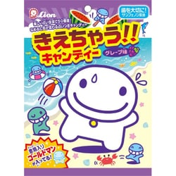 ライオン菓子 きえちゃうキャンディー 89g
