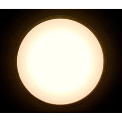 ヨドバシ.com - アイリスオーヤマ IRIS OHYAMA CL12DL-5.1MXWFM [LED