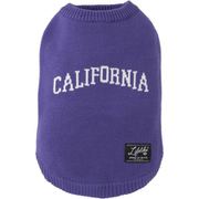 101W07 [カレッジロゴニット PURPLE 2号]
