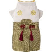 101W23 [ご来光袴 GOLD 5号]