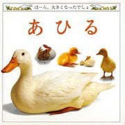 【バーゲンブック】あひる-ほーら、大きくなったでしょ [絵本]