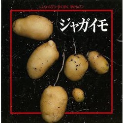 【バーゲンブック】ジャガイモ-しょくぶつ・すくすくずかん7 [絵本]