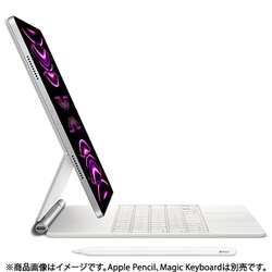 専用 iPad pro 32GB シルバー Applepencil 対応管24