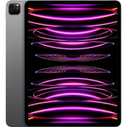 iPad Pro（第6世代） 12.9インチ Wi-Fi Apple M2チップ 2TB スペースグレイ [MNXY3J/A]