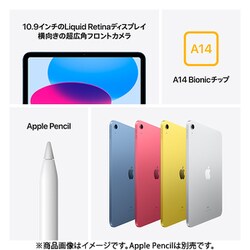 アップル Apple iPad（第10世代） 10.9インチ Wi-Fiモデル 64GB ブルー [MPQ13J/A]  通販【全品無料配達】