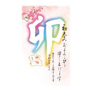 2023 年賀はがき スタンダードカラー5P NO.10 A10