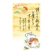2023 年賀はがき スタンダードカラー5P NO.19 A19