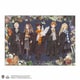 B108-827 魔法使いと魔法生物たち （ハリー・ポッター） [ジグソーパズル 108ピース]