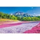 1000-883 日本風景 春のじゅうたん 羊山公園 [ジグソーパズル 1000ピース]