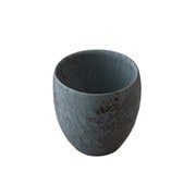 ダブルウォールカップ 黒天目（黒）
