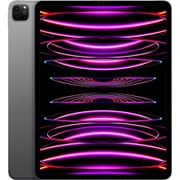 アップル iPad Pro(第6世代) 12.9インチ Apple M2チップ 1TB スペースグレイ