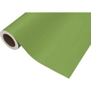 CS045411R [中川ケミカル カッティングシート411イエローグリーン450mm×12M]