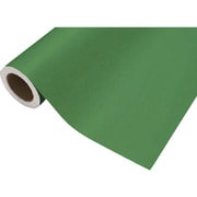 CS045425R [中川ケミカル カッティングシート425ビビットグリーン450mm×12M]
