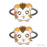 とっとこハム太郎 きゃらぱち！シリーズ ヘアゴム vol.2 トンガリくん [キャラクターグッズ]