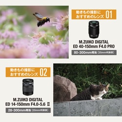 ヨドバシ.com - OM SYSTEM オーエムシステム OM-5 14-150mm II レンズ