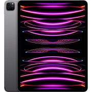 アップル iPad Pro(第6世代) 12.9インチ Apple M2チップ 2TB スペースグレイ