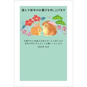 2023年 官製年賀はがき 5枚入 13 2023-No.13