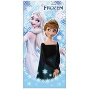 ポチ袋札入 アナと雪の女王 6110044C