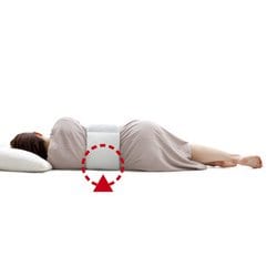 ヨドバシ.com - アルファックス alphax お医者さんの腰futon