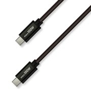 USB2.0 Type-Cケーブル PD100W対応 3m GR-U2PD100-CC300